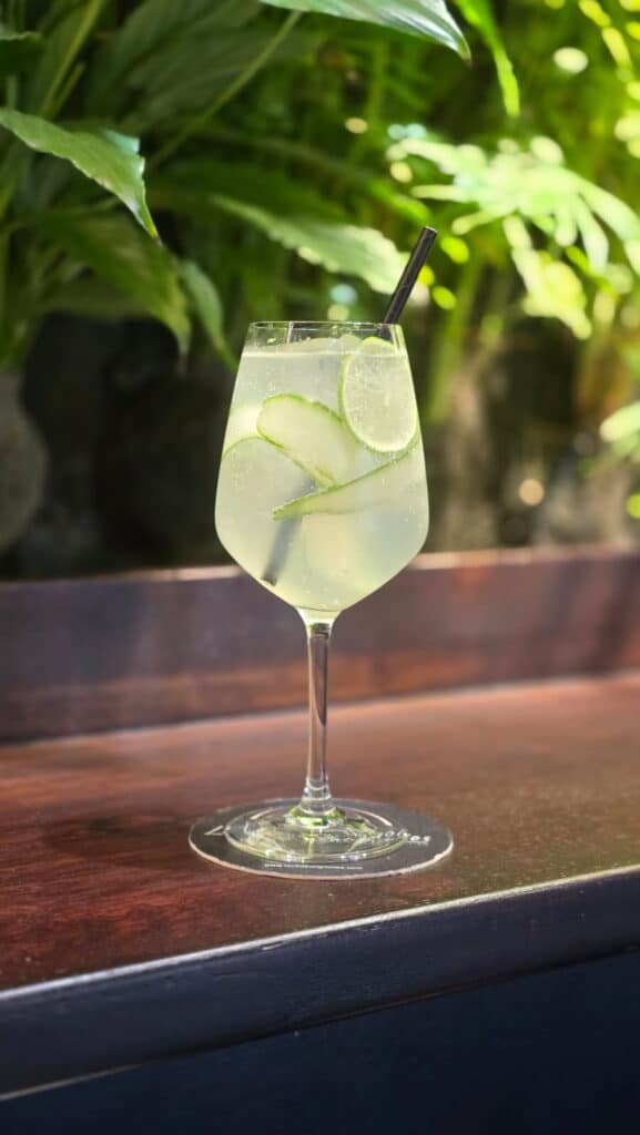 Le Gin Tonic made in la Villa Batignolles Paris 17